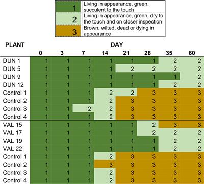 Cry1Ba1-mediated toxicity of transgenic Bergera koenigii and Citrus sinensis to the Asian citrus psyllid Diaphorina citri